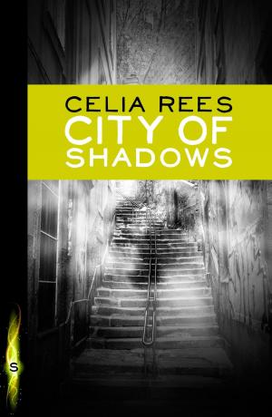 Cover of the book City of Shadows by Elizabeth Adams