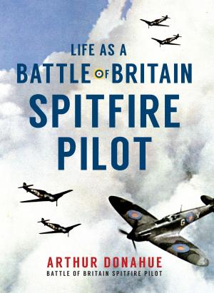 Cover of the book Life as a Battle of Britain Spitfire Pilot by Traveller Dave Fawcett