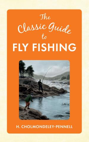 Cover of the book The Classic Guide to Fly Fishing by John Skinner