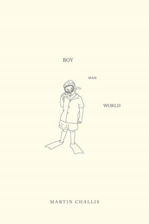 Cover of the book Boy Man World by Wendy Dartnall