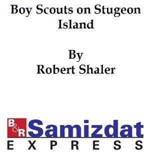 Cover of the book The Boy Scouts on Sturgeon Island or Marooned Among the Game-Fish Poachers by Stockton, Frank