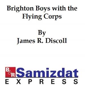 Book cover of The Brighton Boys With the Flying Corps