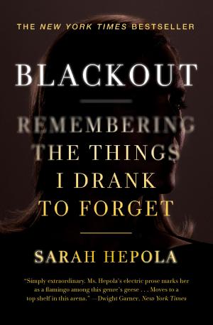 Cover of the book Blackout by Drusilla Campbell