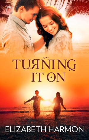 Cover of the book Turning It On by Jen Doyle