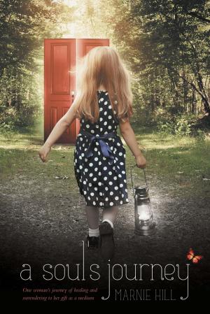 Cover of the book A Soul's Journey by Hunter W. Rogers