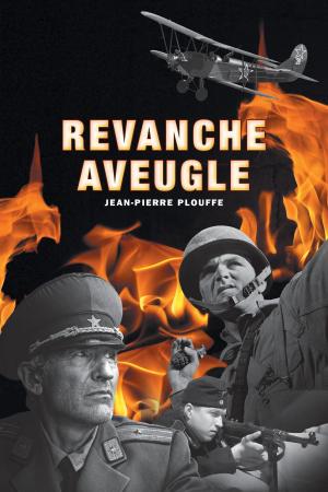 Cover of the book Revanche Aveugle by Ken Skoby