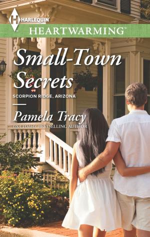 Cover of the book Small-Town Secrets by Jenna Mindel, Marta Perry, Linda Goodnight, Glynna Kaye