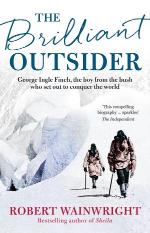 Cover of the book The Brilliant Outsider by Andrew Cate