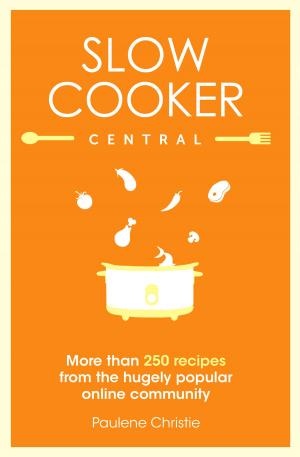 Cover of the book Slow Cooker Central by Elizabeth Finkel