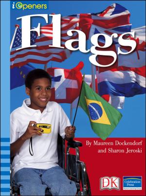 Cover of the book iOpener: Flags by Caryn Jenner