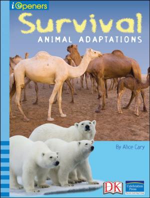 Cover of the book iOpener: Survival: Animal Adaptations by DK