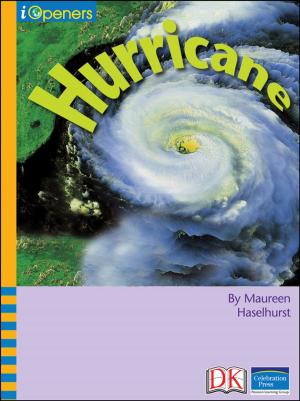 Cover of the book iOpener: Hurricane by DK Travel