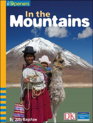 Cover of iOpener: In the Mountains