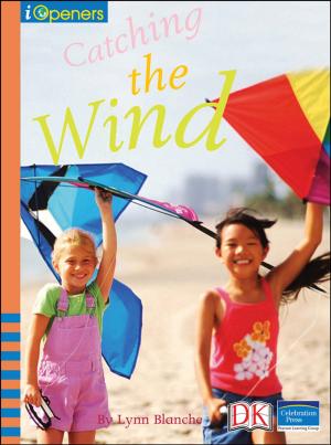 Cover of the book iOpener: Catching the Wind by Victoria E. Green J.D.