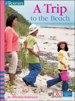 Cover of the book iOpener: A Trip to the Beach by Barry Lewis