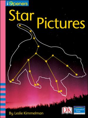 Book cover of iOpener: Star Pictures