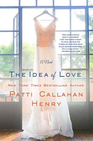 Cover of the book The Idea of Love by Jerry Oppenheimer