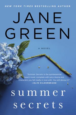 Book cover of Summer Secrets