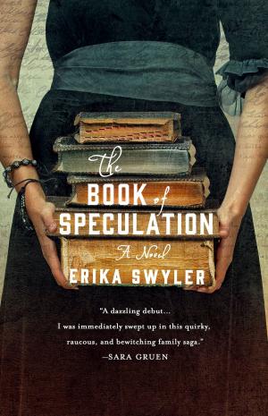Cover of the book The Book of Speculation by Roger Priddy