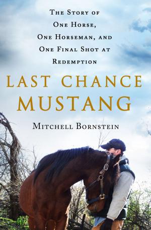 Cover of the book Last Chance Mustang by Sasha James