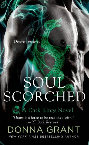 bigCover of the book Soul Scorched by 