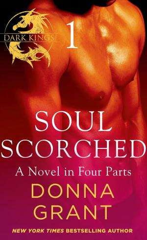 bigCover of the book Soul Scorched: Part 1 by 