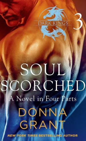 Cover of Soul Scorched: Part 3