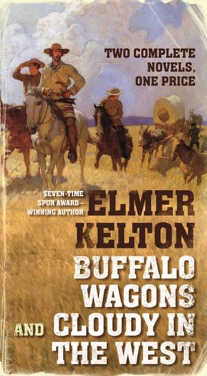 Cover of the book Buffalo Wagons and Cloudy in the West by Terry Mcgarry