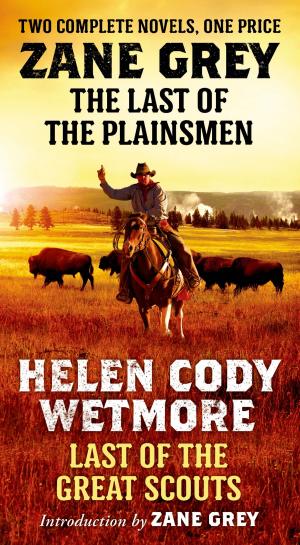 Book cover of The Last of the Plainsmen and Last of the Great Scouts
