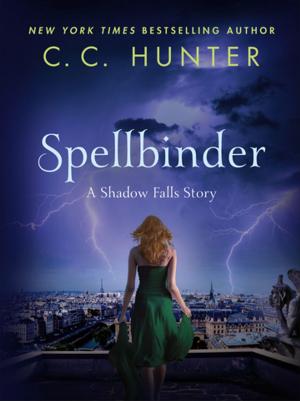 Cover of the book Spellbinder by Valerie Parv