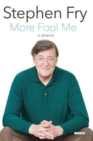 Cover of the book More Fool Me by Lauren Myracle