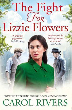 Cover of the book The Fight for Lizzie Flowers by Deborah Feldman