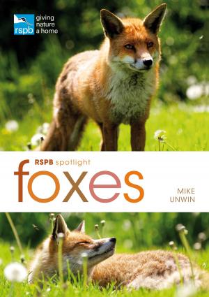 Cover of the book RSPB Spotlight: Foxes by Gordon L. Rottman