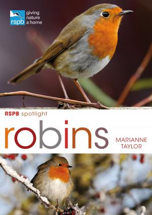 Cover of the book RSPB Spotlight: Robins by Professor Jonathan Daly