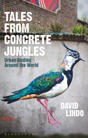 Cover of the book Tales from Concrete Jungles by Ms. Alison MacLeod