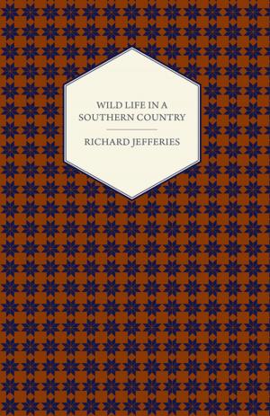 Cover of the book Wild Life in a Southern Country by William Henry Hudson