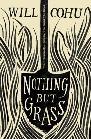 Cover of the book Nothing But Grass by Maggie Bennett