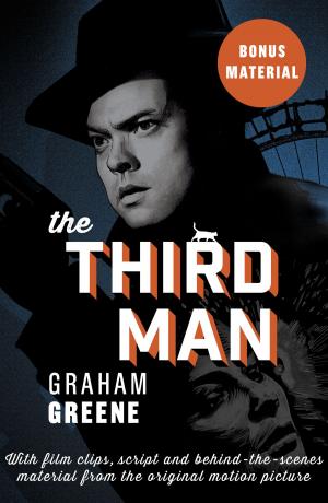 Book cover of The Third Man