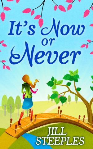 Cover of the book It's Now Or Never by Lauren Child