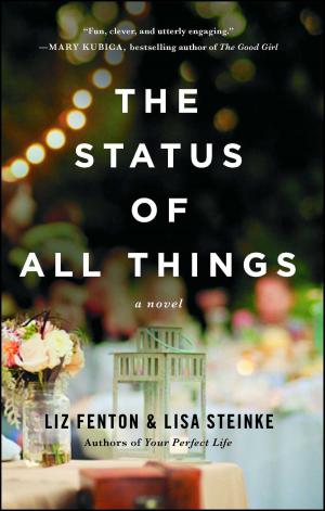 Cover of the book The Status of All Things by Liz Fenton, Lisa Steinke
