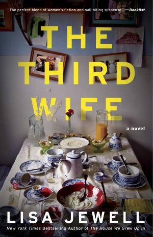 Cover of the book The Third Wife by Martin Sheen, Emilio Estevez