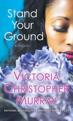 Book cover of Stand Your Ground