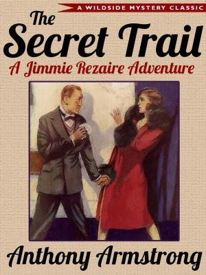 Cover of the book The Secret Trail (Jimmy Rezaire #2) by Damien Broderick, Rory Barnes
