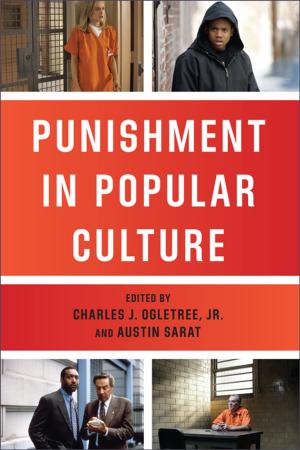 Book cover of Punishment in Popular Culture