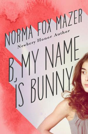 Cover of the book B, My Name Is Bunny by Jo Clayton