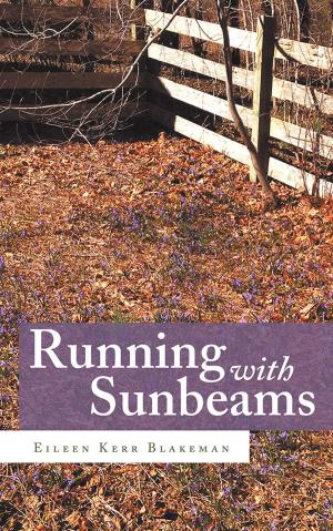 Book cover of Running with Sunbeams
