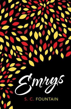 Cover of the book Emrys by Frank Kozol