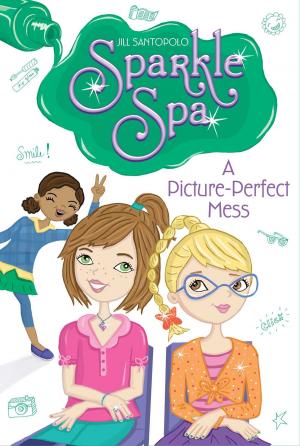 Cover of the book A Picture-Perfect Mess by Suzanne Williams, Joan Holub