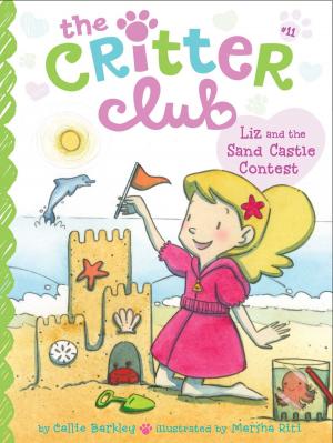 Book cover of Liz and the Sand Castle Contest
