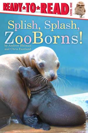 Cover of the book Splish, Splash, ZooBorns! by Cynthia Rylant
